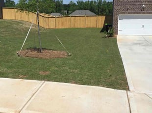 Denise G.'s lawn maintenance service result