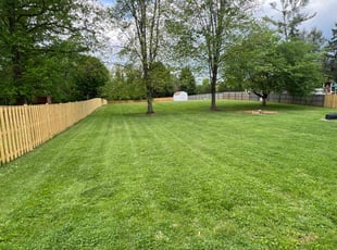 Richard F.'s turf care service result