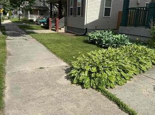 Natalya G.'s yard care service result