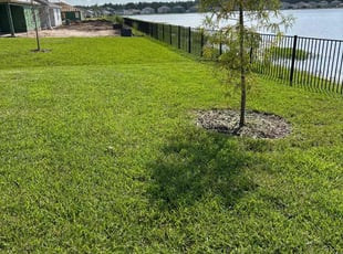 Anjuli D.'s turf maintenance service result