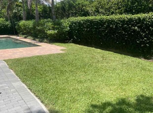 Valerie B.'s lawn maintenance service result