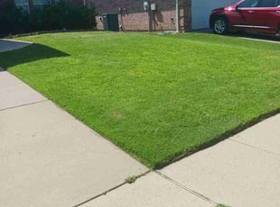 Anne-Rene L.'s lawn care services service result