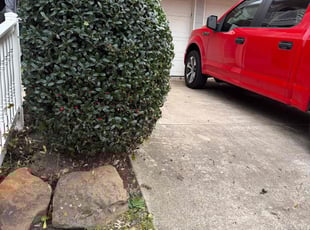 Alex S.'s Bush Trimming service result
