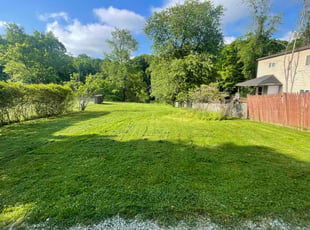 Charles C.'s turf maintenance service result