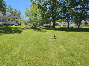 David S.'s grass maintenance service result