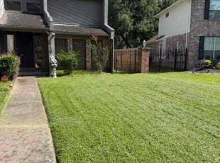 Serene P.'s turf maintenance service result