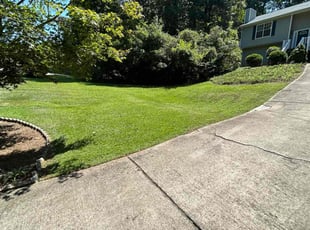 Pat M.'s lawn care service result