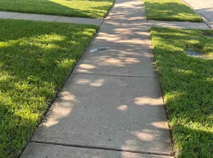 Mark P.'s turf maintenance service result