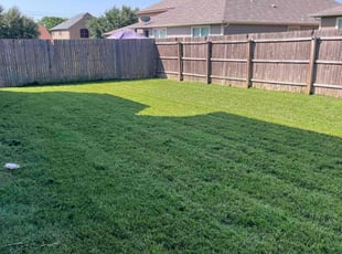 Lisa K.'s lawn care services service result