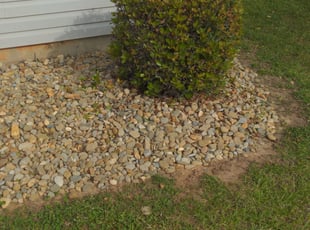 Pat C.'s Bush Trimming service result