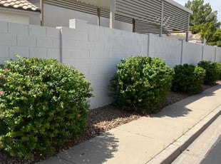 Bobbie W.'s Bush Trimming service result
