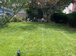 Beverly C.'s grass maintenance service result