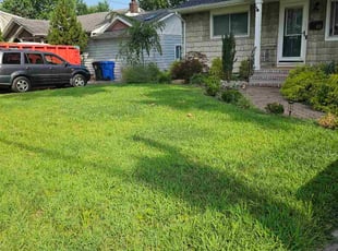 Randy C.'s turf maintenance service result