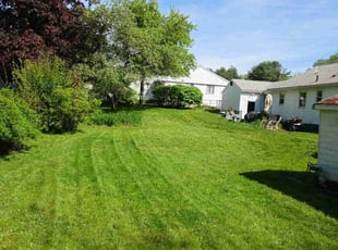 David S.'s grass cutting service result