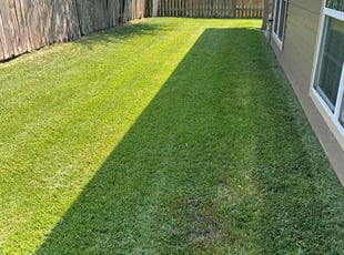 Tiffany R.'s lawn service service result