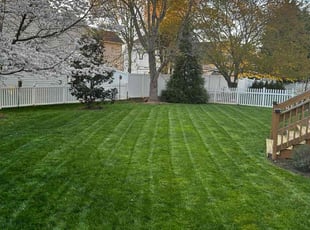 Lindsay H.'s lawn maintenance service result