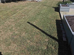 Frances A.'s grass maintenance service result