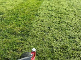 Jeramel M.'s turf care service result