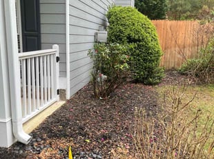 Mike H.'s Bush Trimming service result