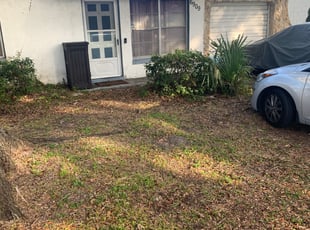 Iona D.'s Bush Trimming service result