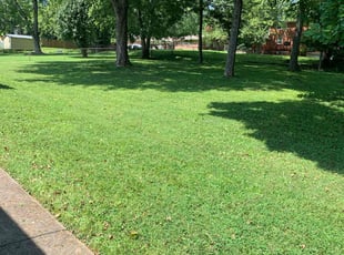 Monique W.'s lawn maintenance service result