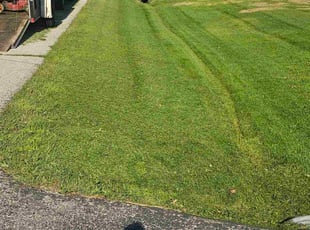 Thomas G.'s turf care service result