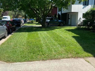Charles H.'s turf care service result