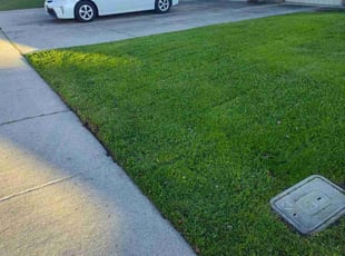Monette C.'s lawn service service result