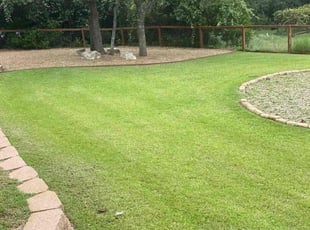 Jeff D.'s lawn care services service result
