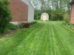 Antonio A.'s lawn service service result