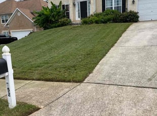 Andrea P.'s lawn maintenance service result