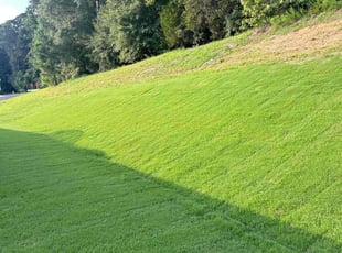 Kristen G.'s lawn care service result
