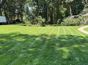 Carol C.'s lawn service service result