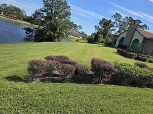 Alex C.'s lawn service service result