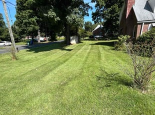 Alex M.'s turf maintenance service result
