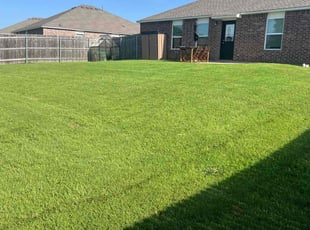 Garett D.'s grass maintenance service result