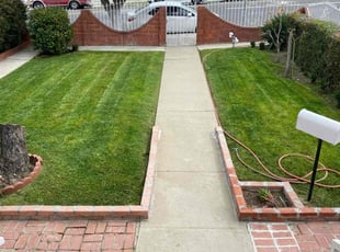 Michael B.'s lawn care service result