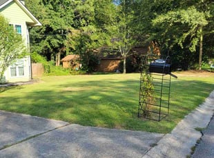 Regina P.'s grass maintenance service result