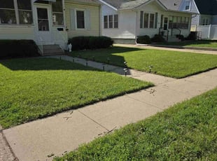 Michael F.'s grass maintenance service result