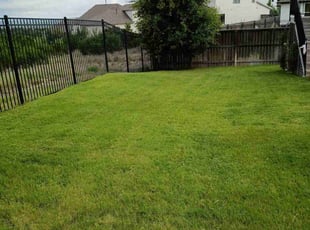 Yasmine E.'s lawn care service result