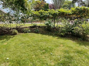 Nancy C.'s Bush Trimming service result