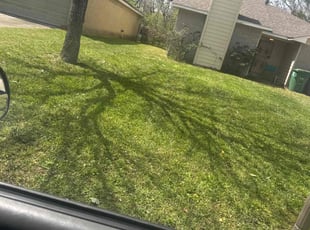 Alfred J.'s turf maintenance service result