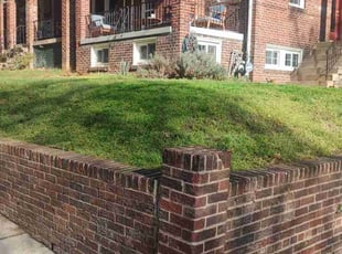 Ann N.'s grass cutting service result