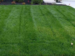 Andrea L.'s lawn care services service result