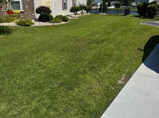 Cydney S.'s lawn care services service result