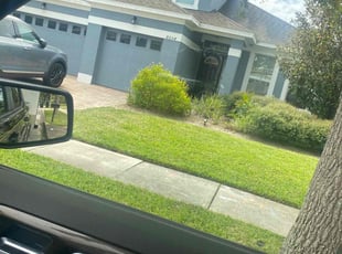 Kathy G.'s lawn maintenance service result