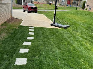 Adrienne G.'s grass cutting service result