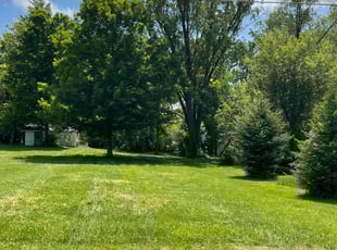 Bob P.'s lawn care service result