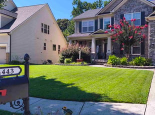 Seth M.'s lawn care service result