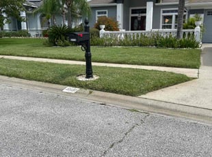 Jim B.'s turf care service result